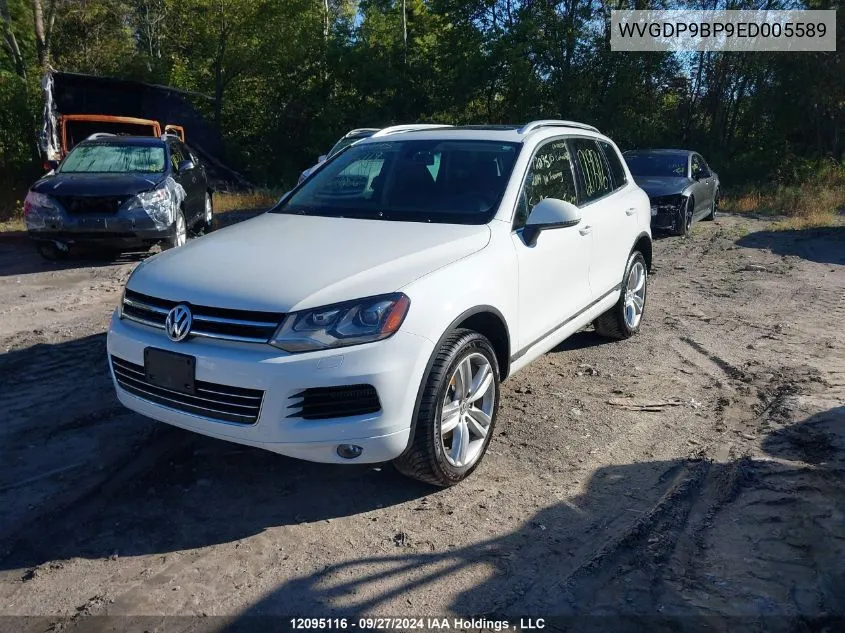 2014 Volkswagen Touareg VIN: WVGDP9BP9ED005589 Lot: 12095116