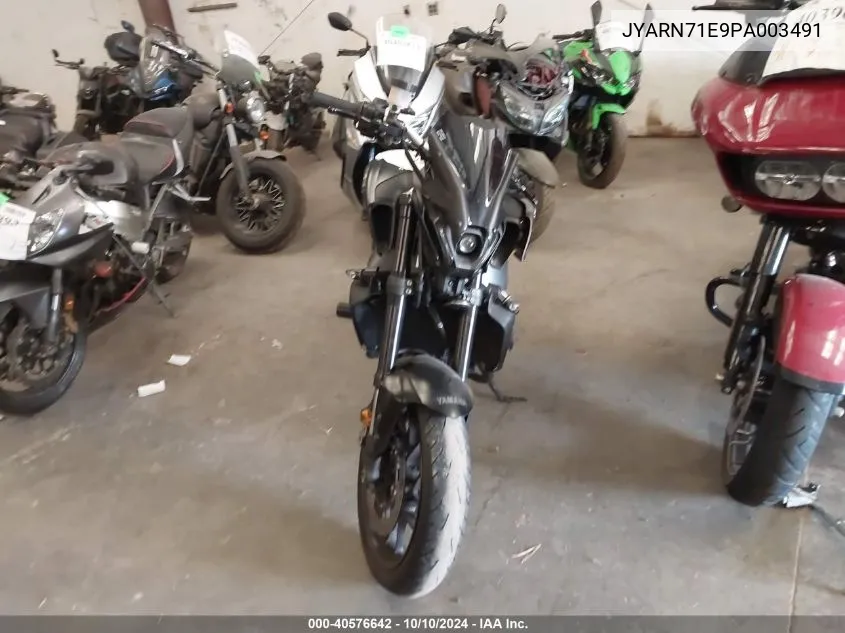 2023 Yamaha Mt09 VIN: JYARN71E9PA003491 Lot: 40576642