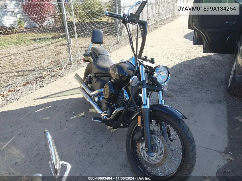 2009 Yamaha Xvs650 A/At VIN: JYAVM01E99A134254 Lot: 40603484